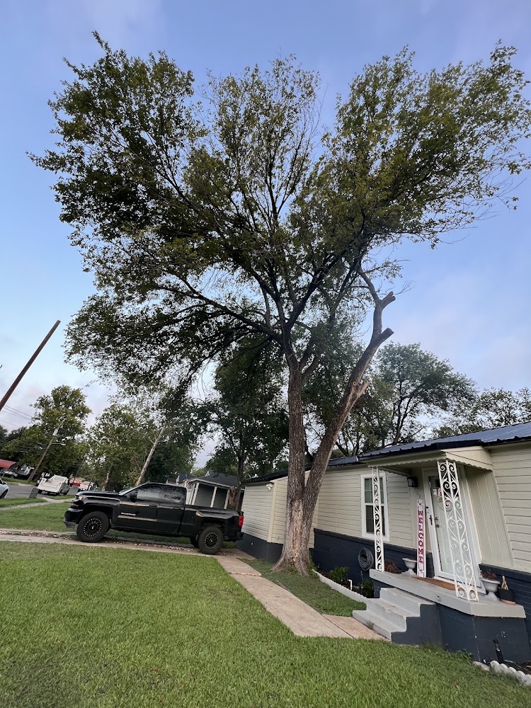 Leander Tree Care