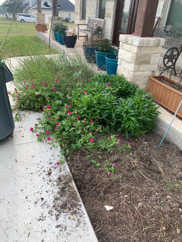 Natural Landscaping