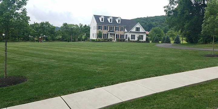 Oasis Landscape and Design