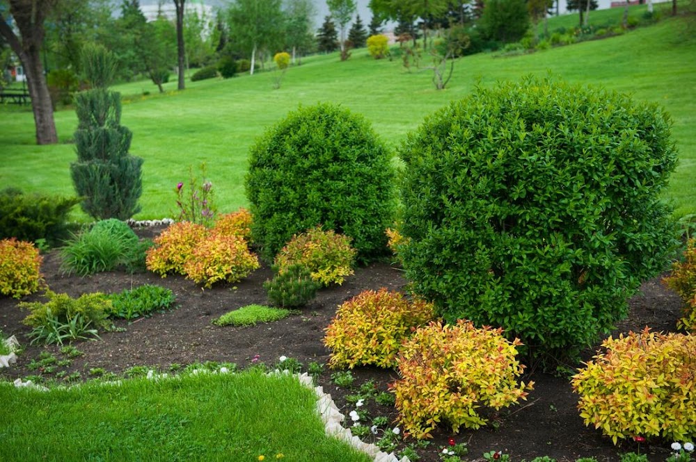 Leander Lawn & Landscape