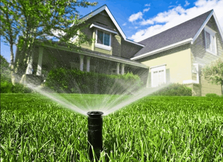 Pro Green Landscape Solutions