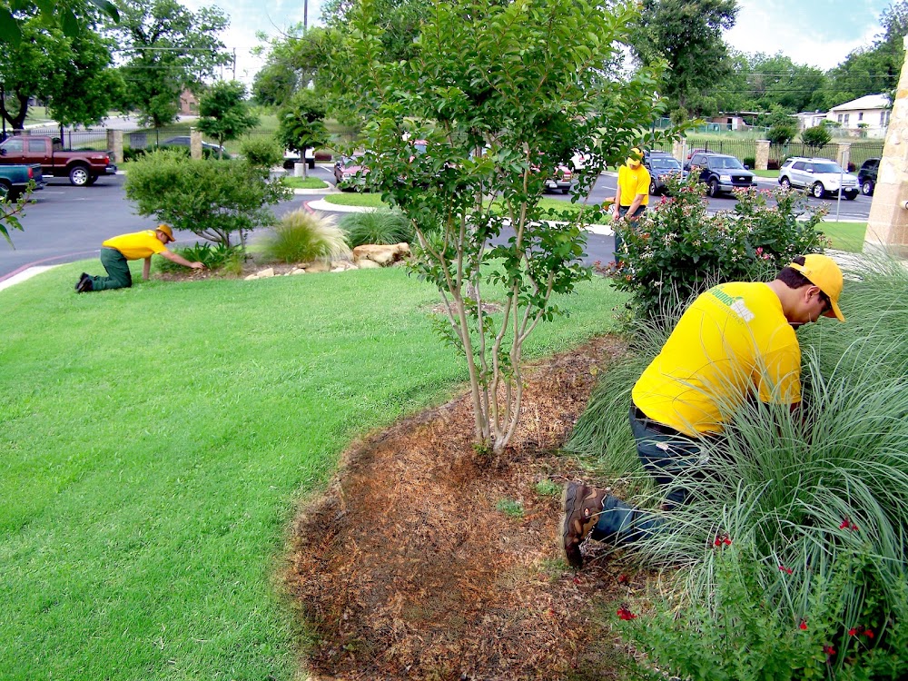 The Grounds Guys of Cedar Park