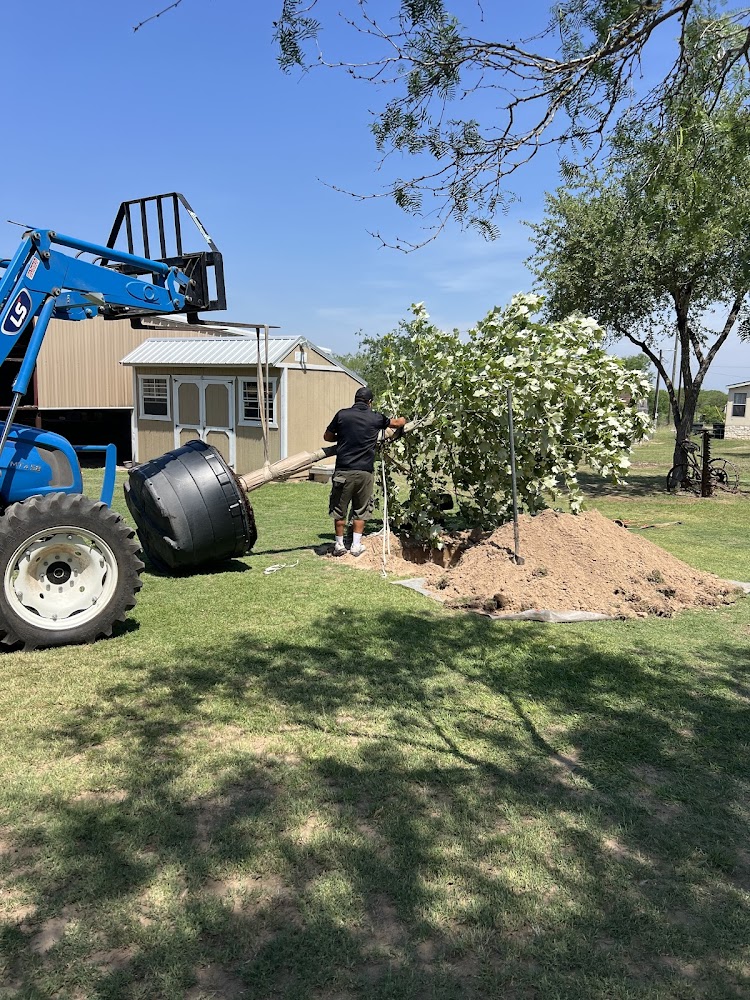 Trust Landscaping Austin