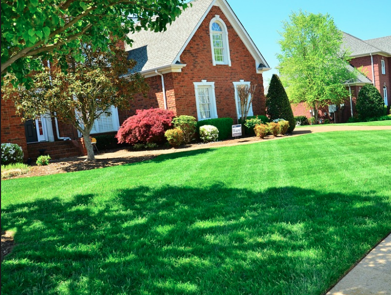 Lawn Care Service of Cedar Park
