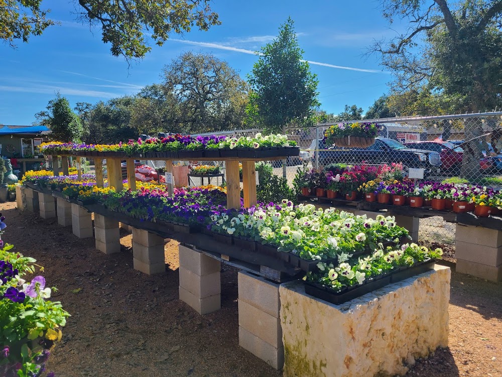 Green Planet Scapes of Austin