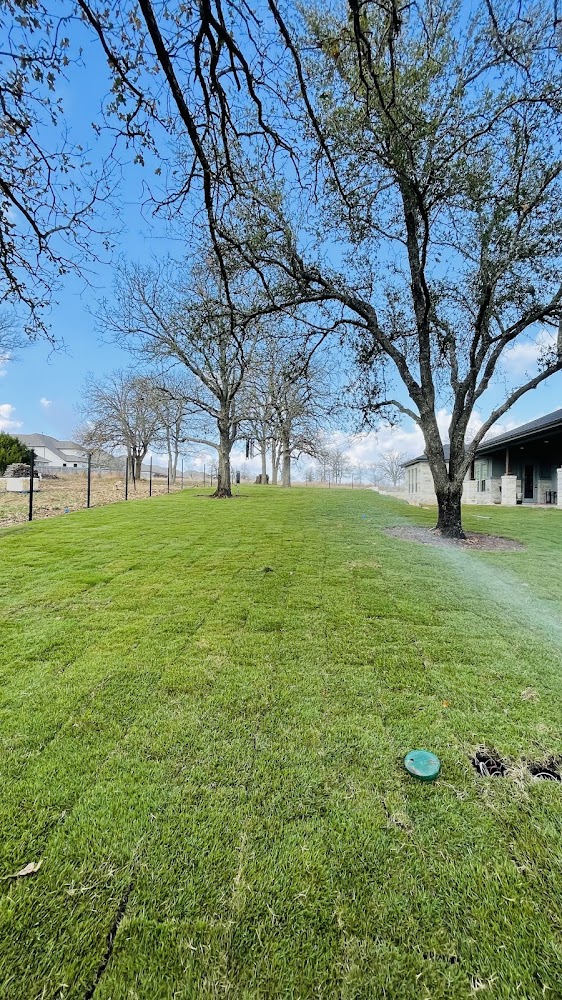 Sprinklers Grass and Landscapes | Georgetown Texas