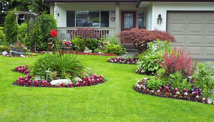 Munoz Landscaping Solutions LLC