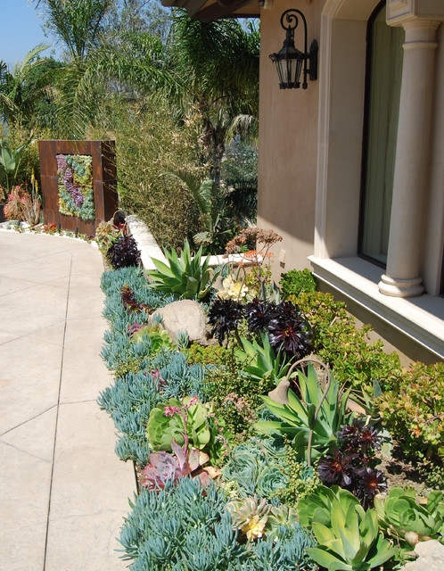 Austin Dry Landscaping