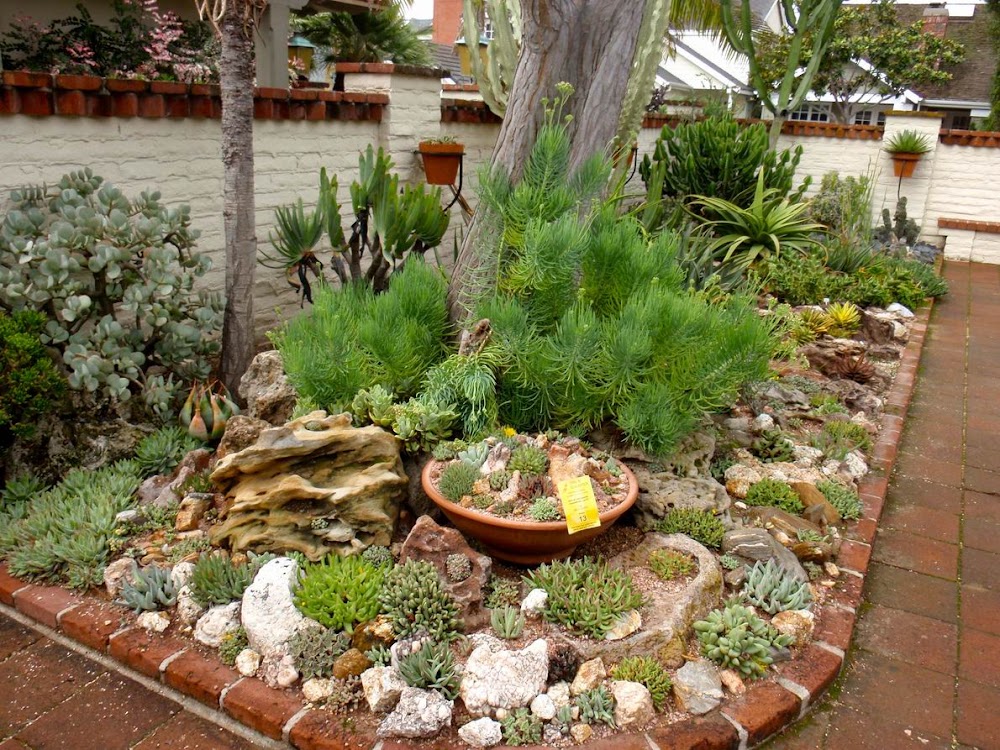 Austin Xeriscaping