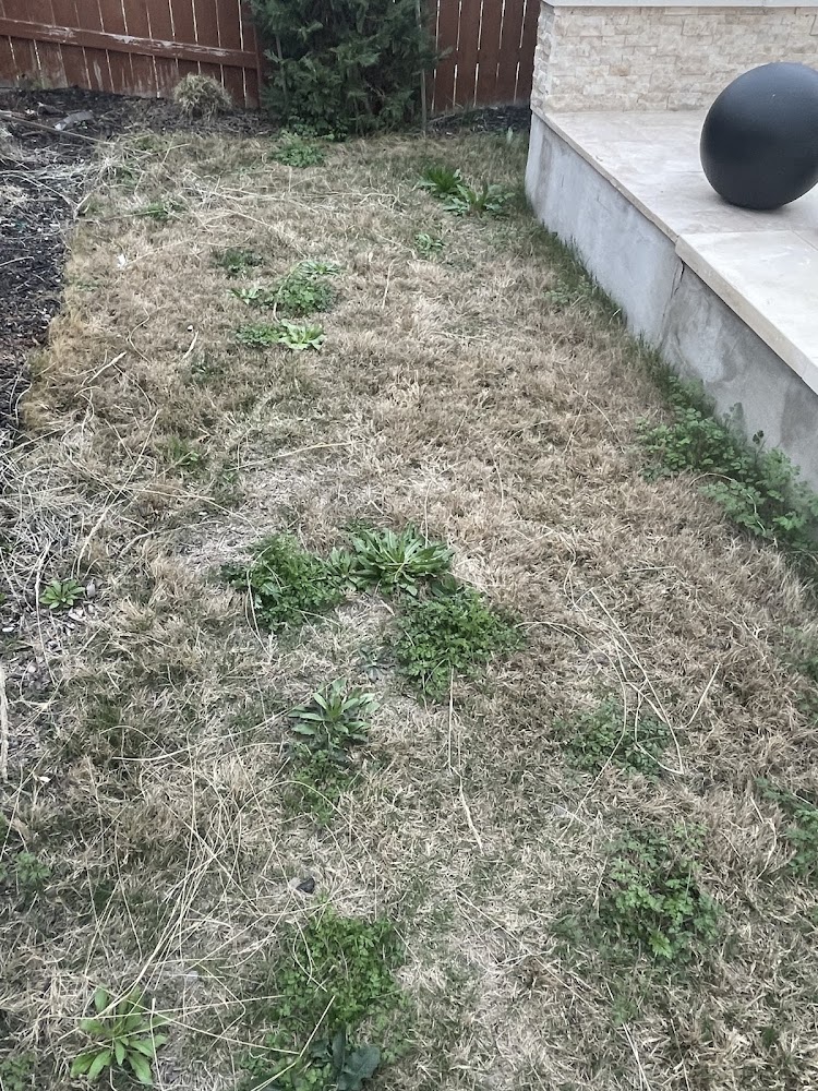 Moody's Landscape and Design