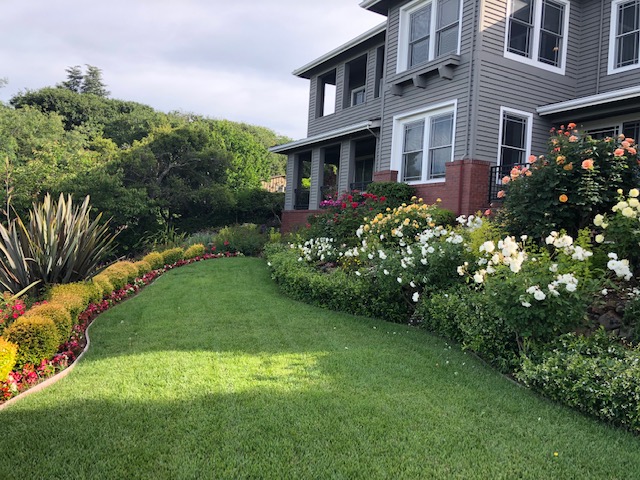 Best Tex Gardens
