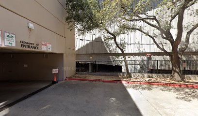 Austin Landscape Designer & Architect Co.