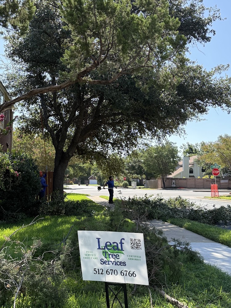 Leaf Tree Services