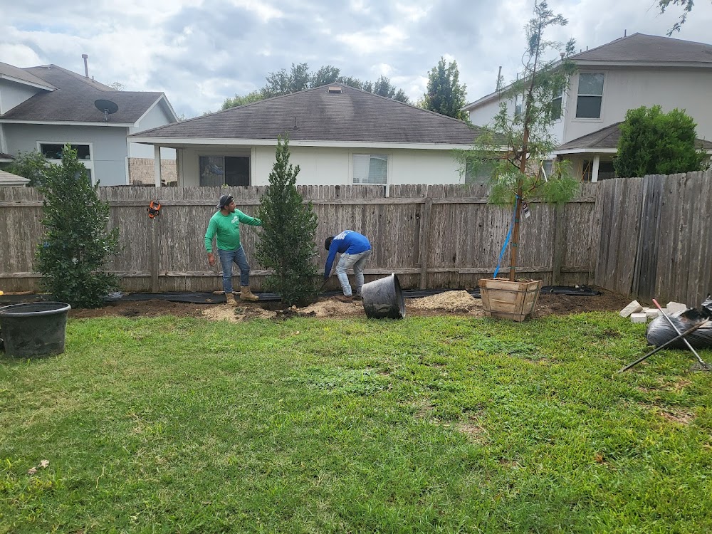 NORTH PEARL LANDSCAPING