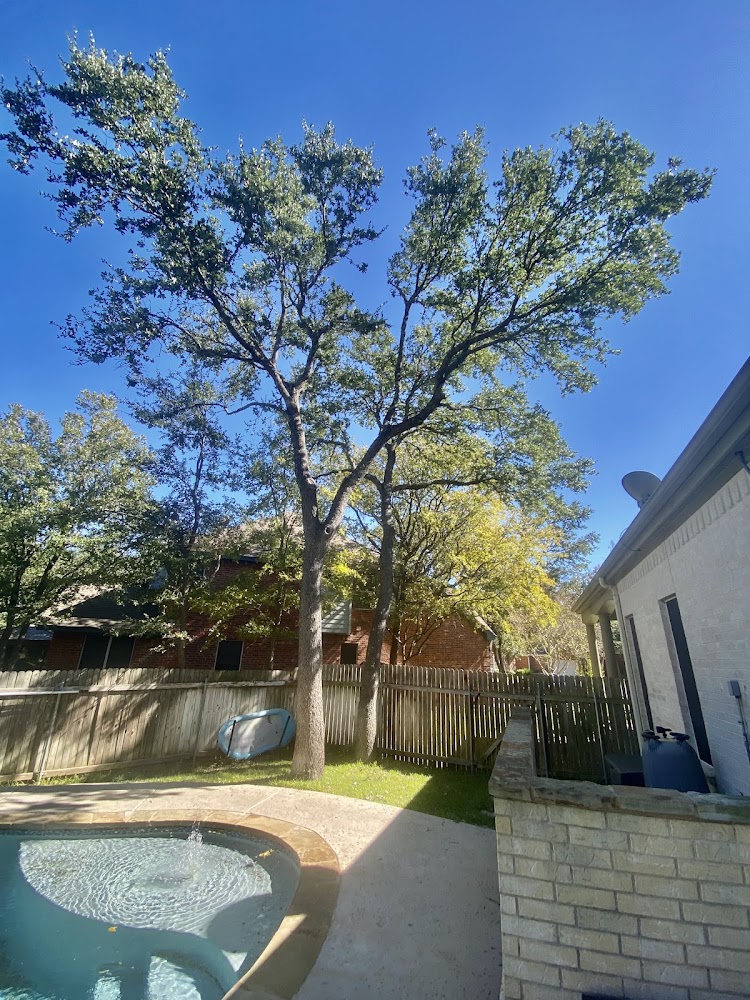 Golden Tree Landscaping