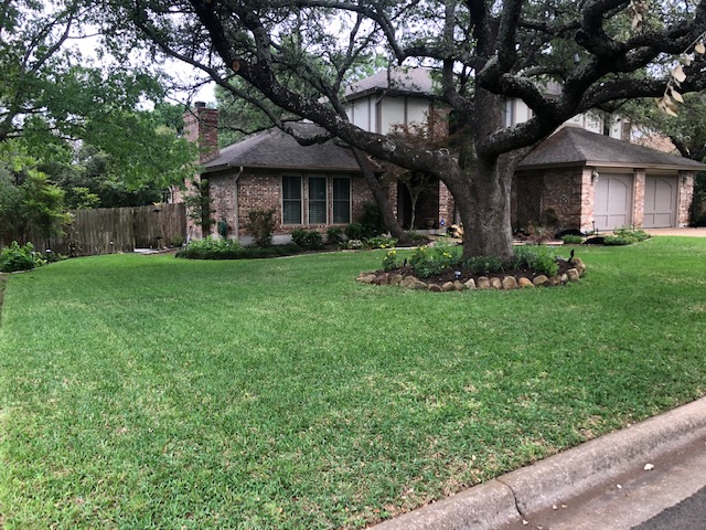 The Front Yard