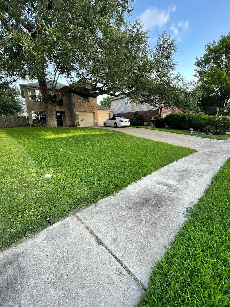 Lawn Junkie