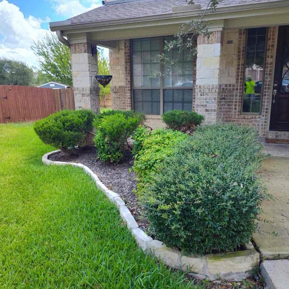 LawnStarter Cedar Park