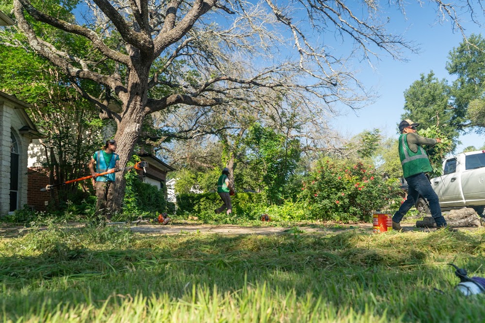Emerald Tree Care & Garden